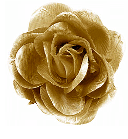 US Angels Shimmer Cabbage Roses