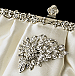 Elegance by Carbonneau Evening Bag 309 with Brooch 205