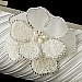 Elegance by Carbonneau Evening Bag 319 with Brooch 41