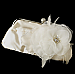 Elegance by Carbonneau Evening Bag 315 with Brooch 475