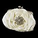 Elegance by Carbonneau Evening Bag 329 with Brooch 156